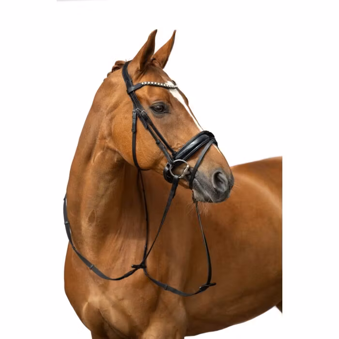 Aachenträns, ponny-full, HKM Fleur