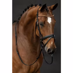 Aachenträns, ponny-full, HKM Rosegold Glamour