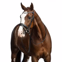 Aachenträns, ponny-full, HKM Bella