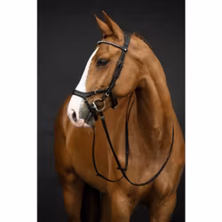 Träns, ponny-full, HKM Pro Anatomic