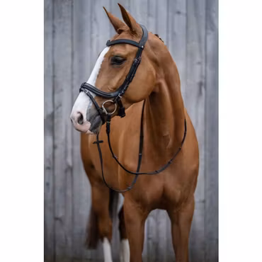 Aachenträns, ponny-full, HKM Anatomic