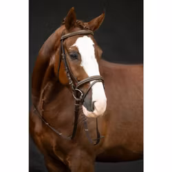 Aachenträns, shetland-full, HKM Lou