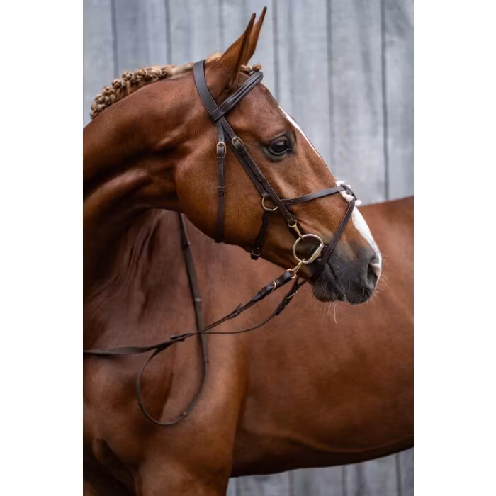 Pullarträns, ponny-full, HKM Mexican Style