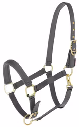 Nylongrimma, shetland-full, Covalliero Classy