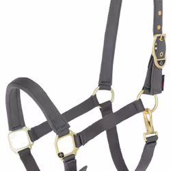 Nylongrimma, shetland-full, Covalliero Classy