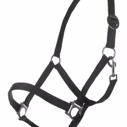 Nylongrimma, shetland-full, HKM Classic