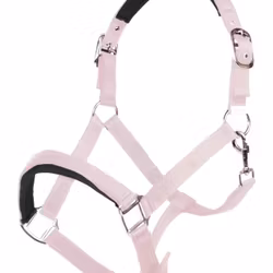 Nylongrimma, ponny-full, HKM Catherine