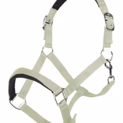 Nylongrimma, ponny-full, HKM Catherine