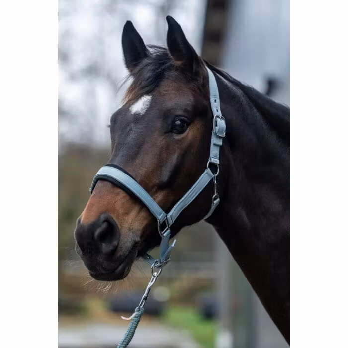 Nylongrimma, ponny-full, HKM Catherine