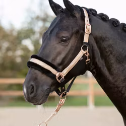 Nylongrimma, ponny-full, HKM Rosegold Glitter