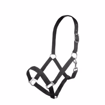 Nylongrimma, ponny-full, HKM Brisbane