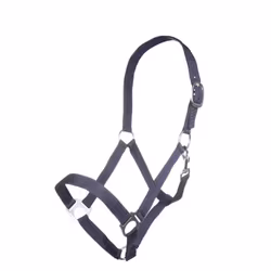 Nylongrimma, ponny-full, HKM Brisbane