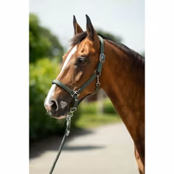 Nylongrimma, ponny-xfull, HKM Stars