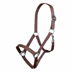 Nylongrimma, ponny-xfull, HKM Stars Economy