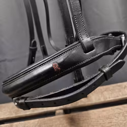 Aachenträns, full, After Riding