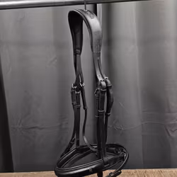 Aachenträns, full, After Riding