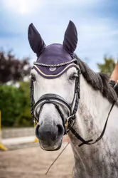 Huva, ponny-full, HKM Lavender Bay