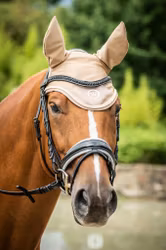 Huva, ponny-full, HKM Lavender Bay