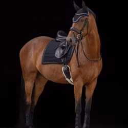 Schabrak, full, Covalliero Linea