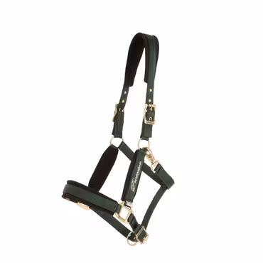 Nylongrimma, ponny-xfull, Protector Comfort