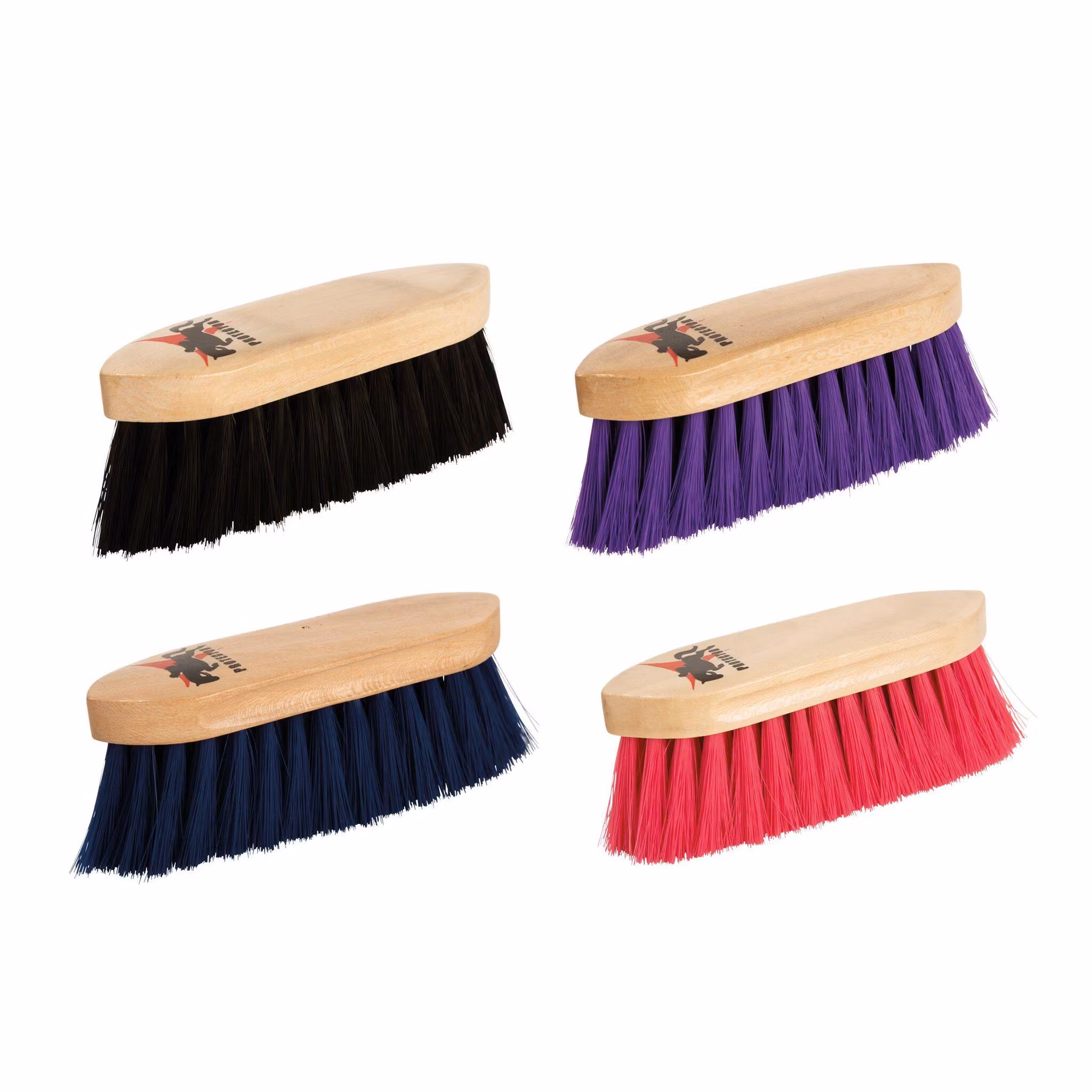 Dandyborste, Protector