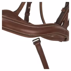 Träns, cob-xfull, Lippo Eccelente