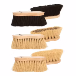 Mankborste, Protector