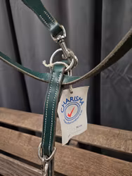 Förbygel, ponny, House of Charisma