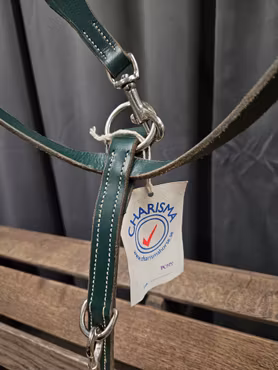 Förbygel, ponny, House of Charisma