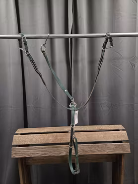 Förbygel, ponny, House of Charisma