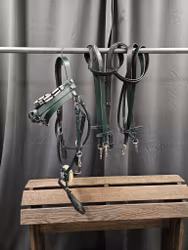 Pullarträns, cob, House of Charisma