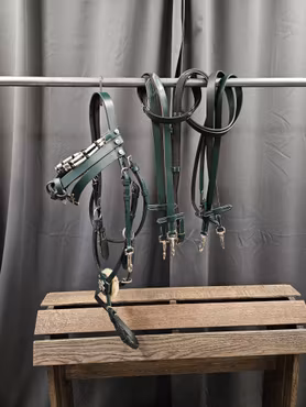 Pullarträns, cob, House of Charisma