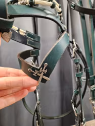 Pullarträns, cob, House of Charisma