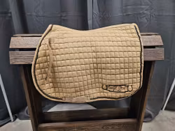 Schabrak, full, Event