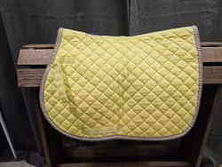 Schabrak, ponny, Horze