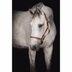 Lädergrimma, shetland-xfull, Lippo Supreme Midbrown