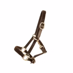 Lädergrimma, S-L, Lippo Selected Miniature