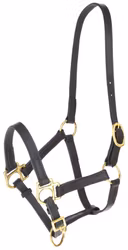 Lädergrimma, föl, Covalliero Eco