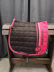 Schabrak, ponny, Hansbo