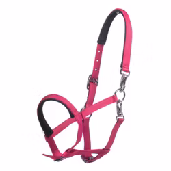 Nylongrimma, föl, HKM