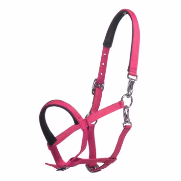 Nylongrimma, föl, HKM