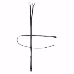 Martingal, shetland, IR Rainbow