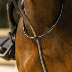 Martingal, shetland, IR Rainbow