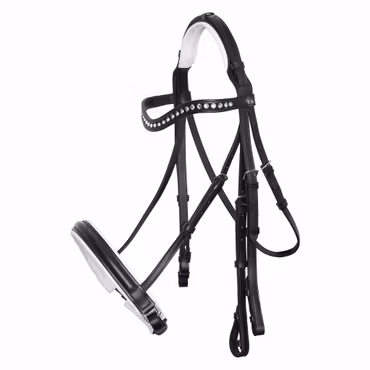 Kandarträns, cob-full, IR Di Layla II