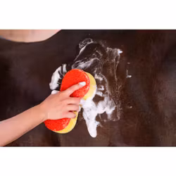 Tvättsvamp, 3-pack, Kerbl