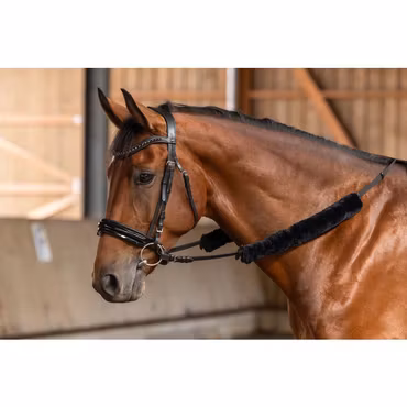 Tygelludd, Covalliero