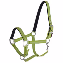 Nylongrimma, ponny-xxfull, Covalliero Mustang