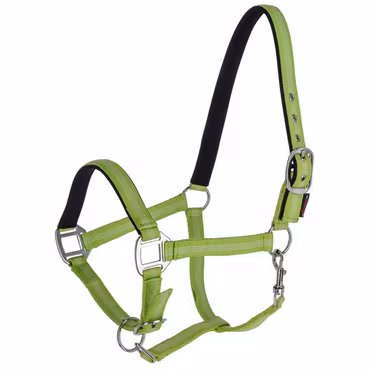 Nylongrimma, ponny-xxfull, Covalliero Mustang