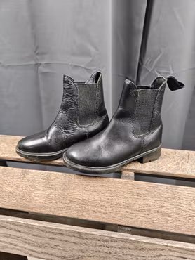 Jodhpurs, 28, Steeds