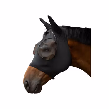 Flughuva, ponny-full, LG Amalfi